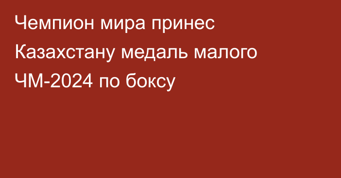 Чемпион мира принес Казахстану медаль малого ЧМ-2024 по боксу