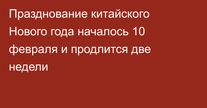 Празднование китайского Нового года началось 10 февраля и продлится две недели