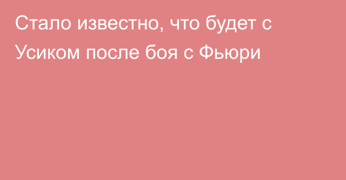 Стало известно, что будет с Усиком после боя с Фьюри