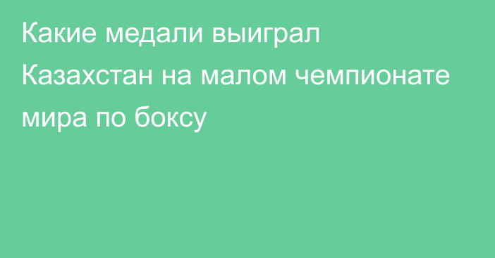 Какие медали выиграл Казахстан на малом чемпионате мира по боксу