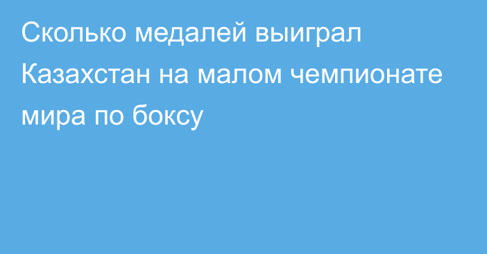 Сколько медалей выиграл Казахстан на малом чемпионате мира по боксу