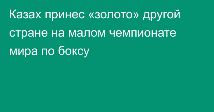 Казах принес «золото» другой стране на малом чемпионате мира по боксу