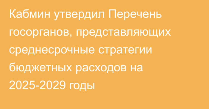 Кабмин утвердил Перечень госорганов, представляющих среднесрочные стратегии бюджетных расходов на 2025-2029 годы