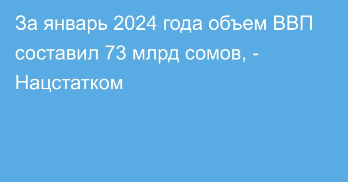 За январь 2024 года объем ВВП составил 73 млрд сомов, - Нацстатком 