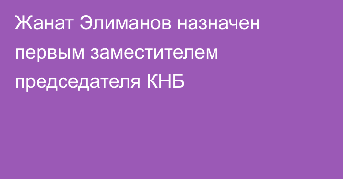 Жанат Элиманов назначен первым заместителем председателя КНБ