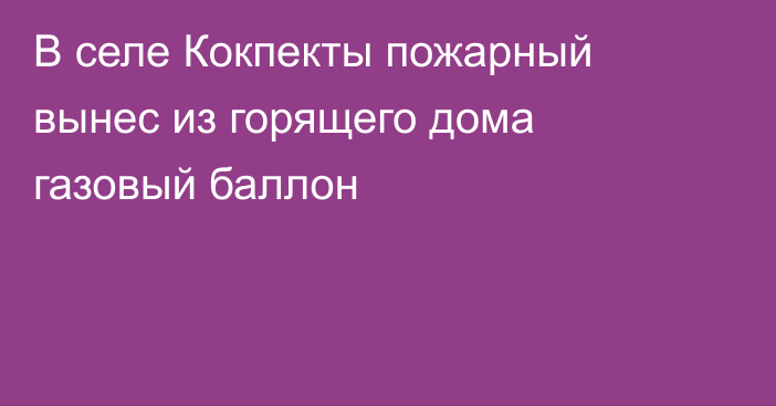 В селе Кокпекты пожарный вынес из горящего дома газовый баллон