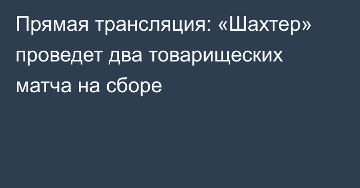 Прямая трансляция: «Шахтер» проведет два товарищеских матча на сборе