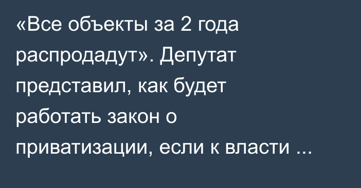 «Все объекты за 2 года распродадут». Депутат представил, как будет работать закон о приватизации, если к власти придут корыстные люди