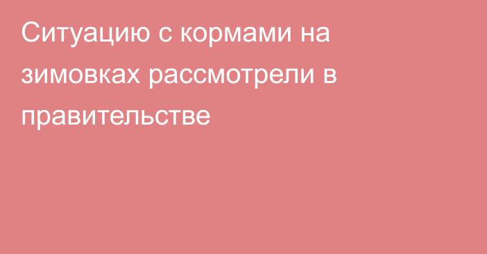 Ситуацию с кормами на зимовках рассмотрели в правительстве