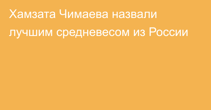 Хамзата Чимаева назвали лучшим средневесом из России