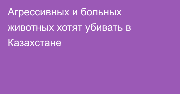 Агрессивных и больных животных хотят убивать в Казахстане