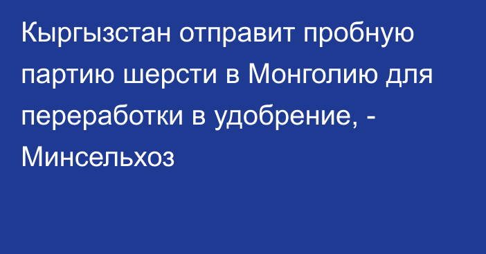 Кыргызстан отправит пробную партию шерсти в Монголию для переработки в удобрение, - Минсельхоз