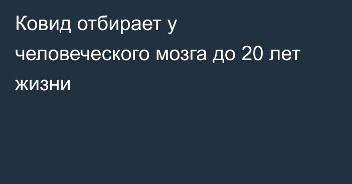 Ковид отбирает у человеческого мозга до 20 лет жизни