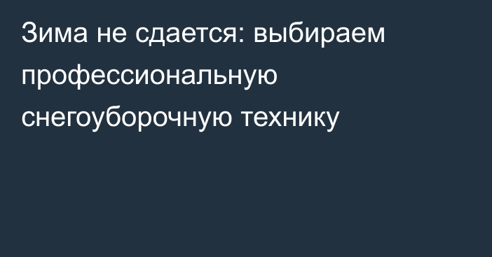 Зима не сдается: выбираем профессиональную снегоуборочную технику