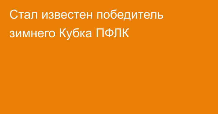 Стал известен победитель зимнего Кубка ПФЛК