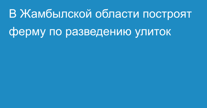 В Жамбылской области построят ферму по разведению улиток