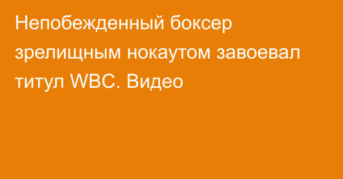 Непобежденный боксер зрелищным нокаутом завоевал титул WBC. Видео