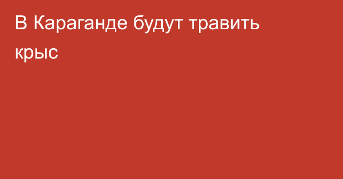 В Караганде будут травить крыс