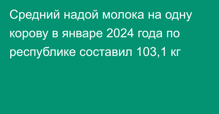 Средний надой молока на одну корову в январе 2024 года по республике составил 103,1 кг