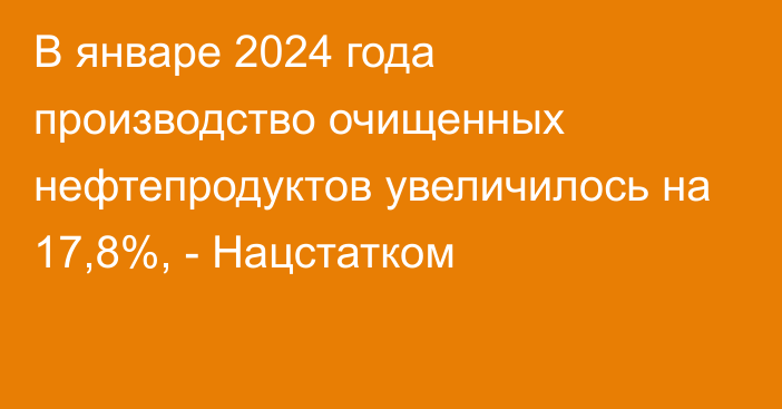 В январе 2024 года производство очищенных нефтепродуктов увеличилось на 17,8%, - Нацстатком