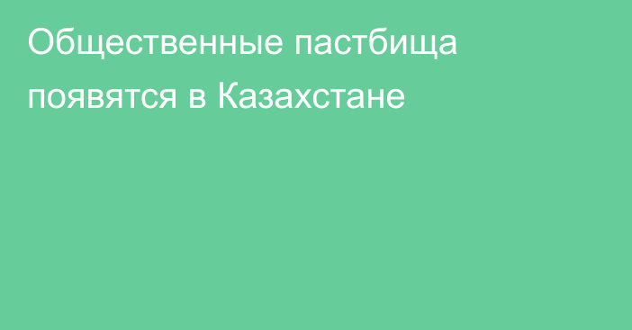 Общественные пастбища появятся в Казахстане