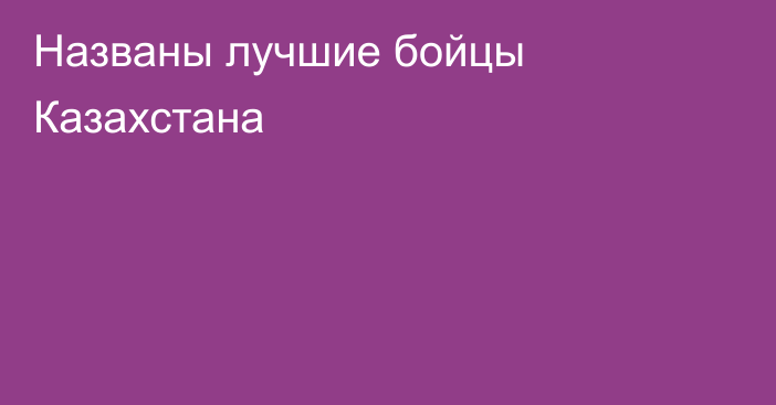 Названы лучшие бойцы Казахстана