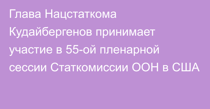 Глава Нацстаткома Кудайбергенов принимает участие в 55-ой пленарной сессии Статкомиссии ООН в США