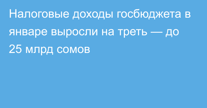 Налоговые доходы госбюджета в январе выросли на треть — до 25 млрд сомов