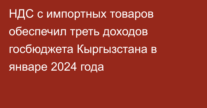 НДС с импортных товаров обеспечил треть доходов госбюджета Кыргызстана в январе 2024 года