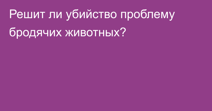 Решит ли убийство проблему бродячих животных?