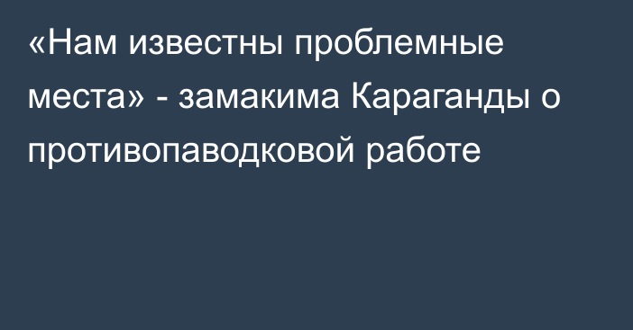 «Нам известны проблемные места» - замакима Караганды о противопаводковой работе