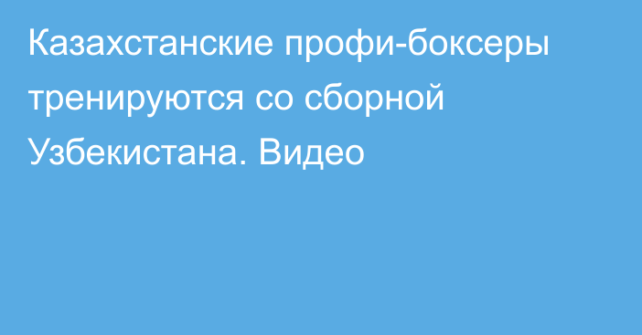 Казахстанские профи-боксеры тренируются со сборной Узбекистана. Видео