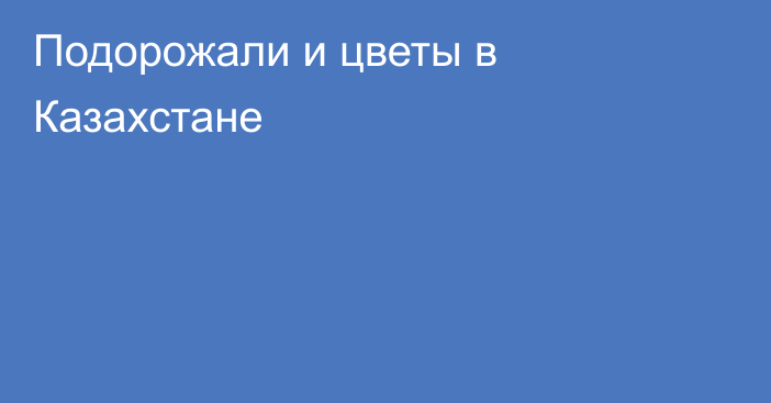 Подорожали и цветы в Казахстане