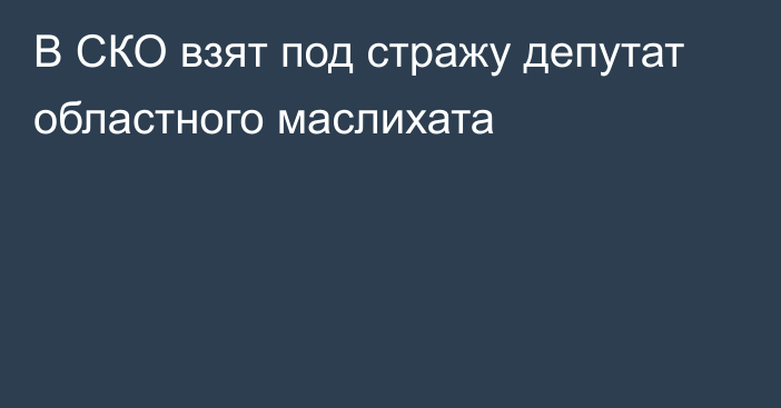 В СКО взят под стражу депутат областного маслихата