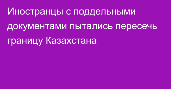 Иностранцы с поддельными документами пытались пересечь границу Казахстана