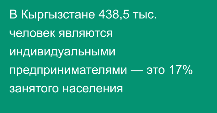 В Кыргызстане 438,5 тыс. человек являются индивидуальными предпринимателями — это 17% занятого населения