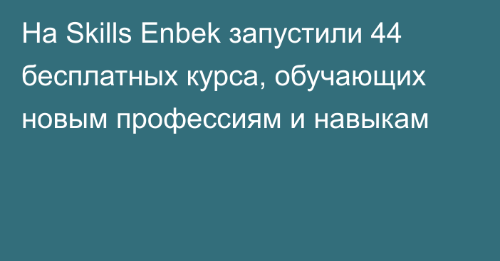 На Skills Enbek запустили 44 бесплатных курса, обучающих новым профессиям и навыкам