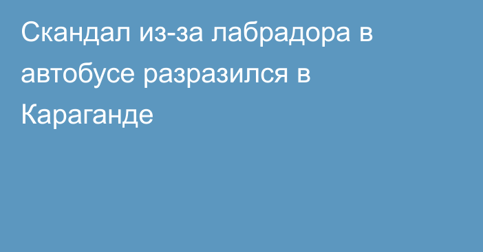 Скандал из-за лабрадора в автобусе разразился в Караганде