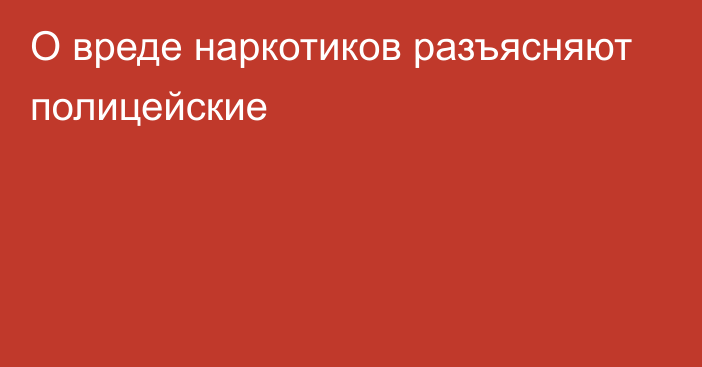 О вреде наркотиков разъясняют полицейские