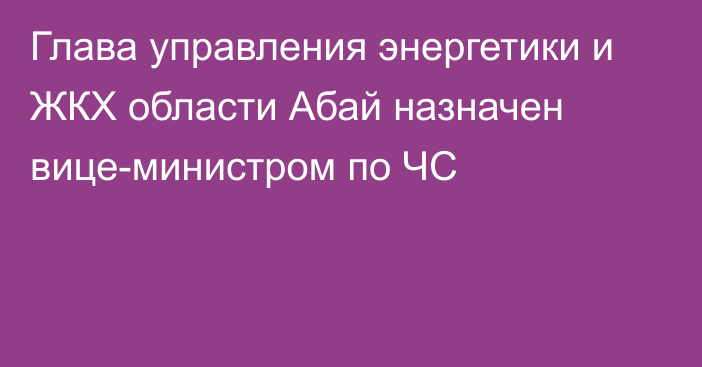 Глава управления энергетики и ЖКХ области Абай назначен вице-министром по ЧС