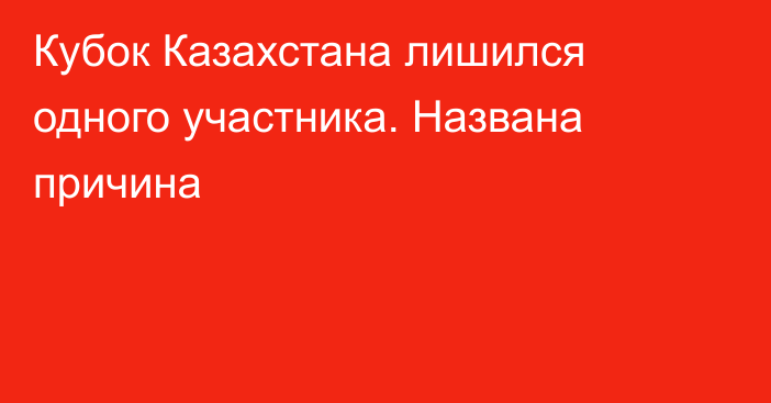 Кубок Казахстана лишился одного участника. Названа причина