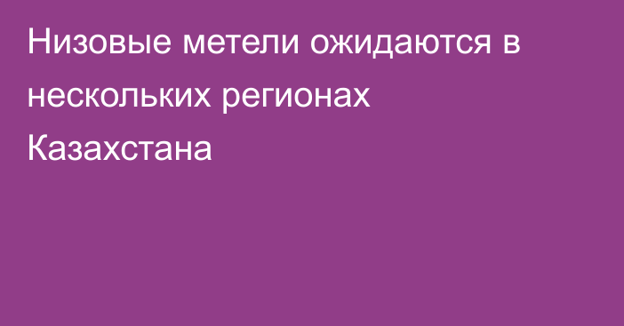 Низовые метели ожидаются в нескольких регионах Казахстана