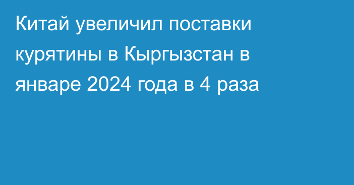 Китай увеличил поставки курятины в Кыргызстан в январе 2024 года в 4 раза