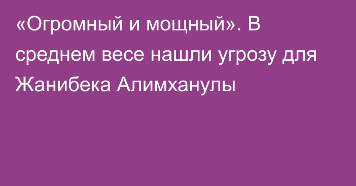 «Огромный и мощный». В среднем весе нашли угрозу для Жанибека Алимханулы