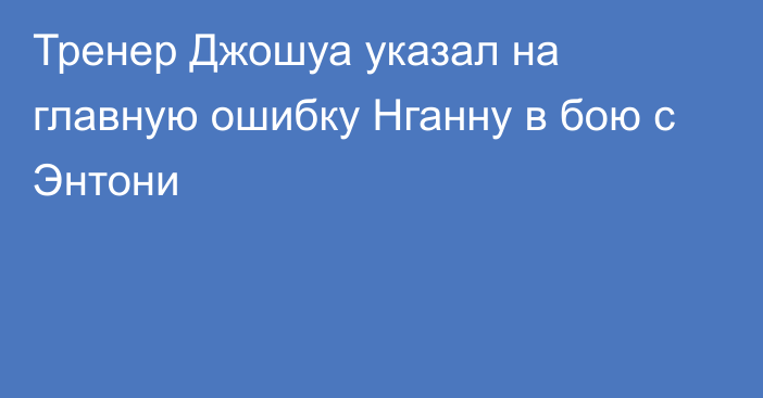 Тренер Джошуа указал на главную ошибку Нганну в бою с Энтони