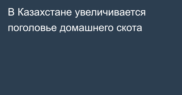 В Казахстане увеличивается поголовье домашнего скота