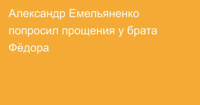 Александр Емельяненко попросил прощения у брата Фёдора