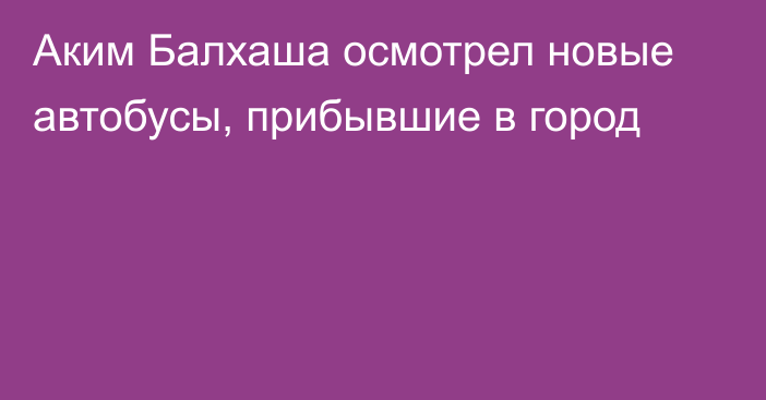 Аким Балхаша осмотрел новые автобусы, прибывшие в город