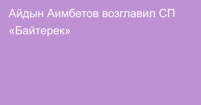 Айдын Аимбетов возглавил СП «Байтерек»