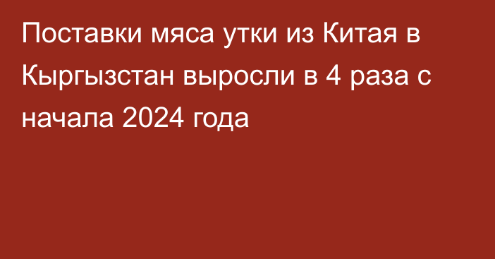 Поставки мяса утки из Китая в Кыргызстан выросли в 4 раза с начала 2024 года